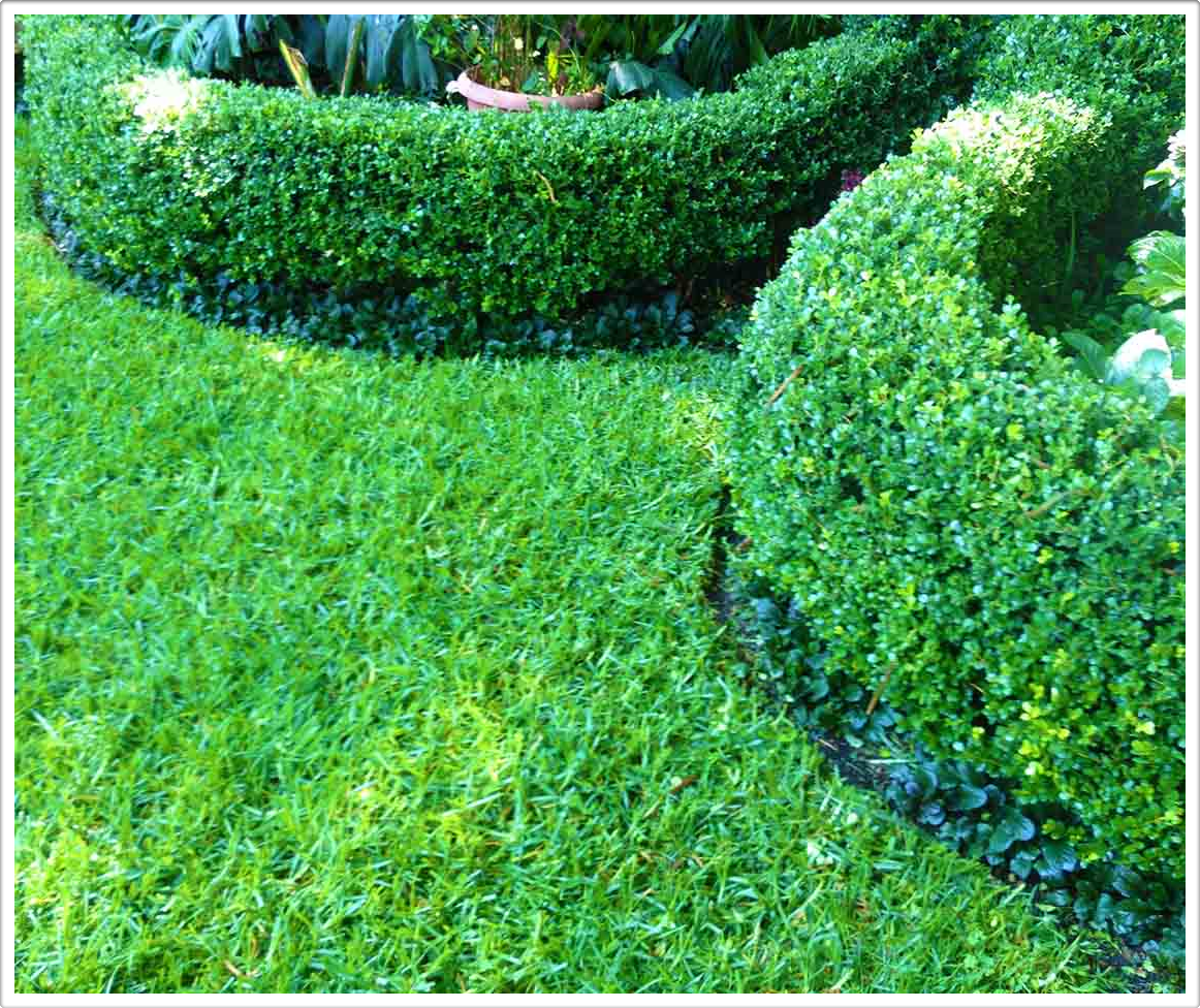 Gardens by Daniel Pavon Cuellar