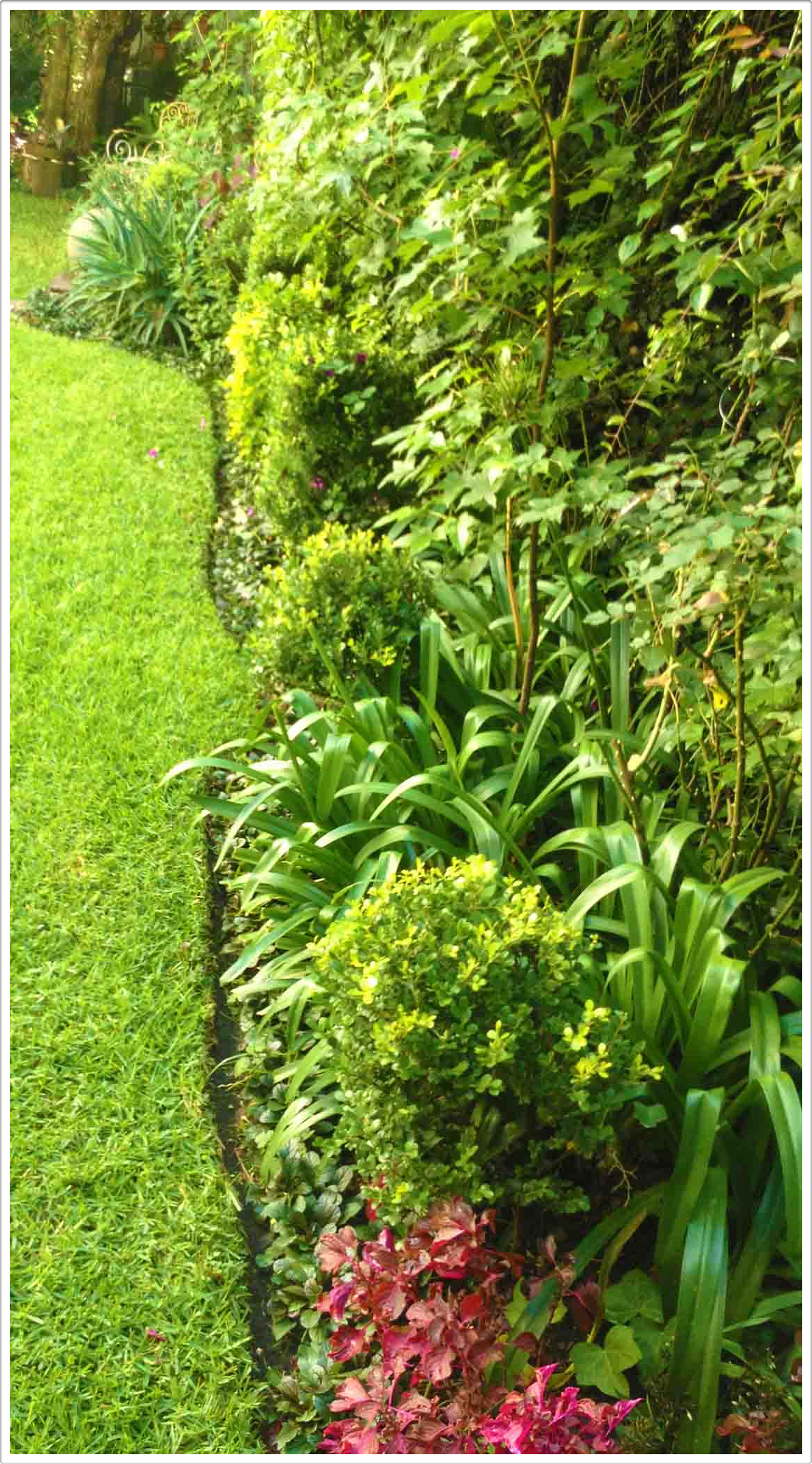 Gardens by Daniel Pavon Cuellar