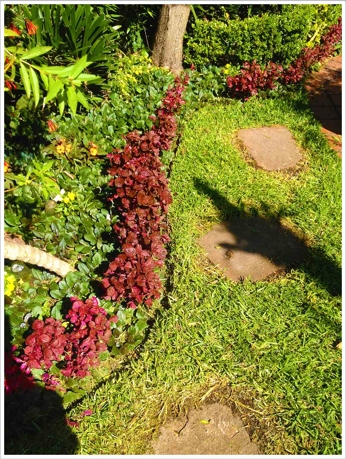 Gardens by Daniel Pavon Cuellar