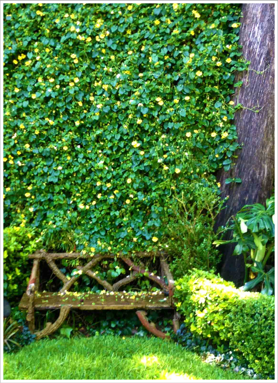 Gardens by Daniel Pavon Cuellar