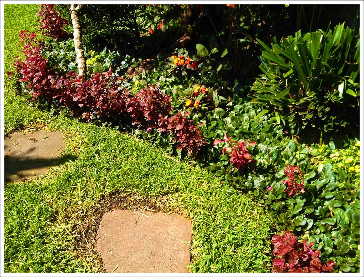 Gardens by Daniel Pavon Cuellar